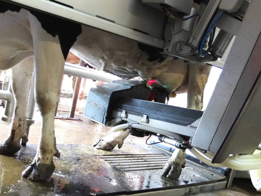 robot de traite et génocellules