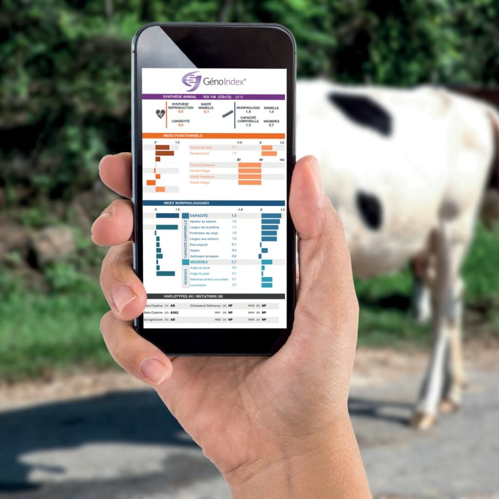 index de renouvellement génotypage bovin
